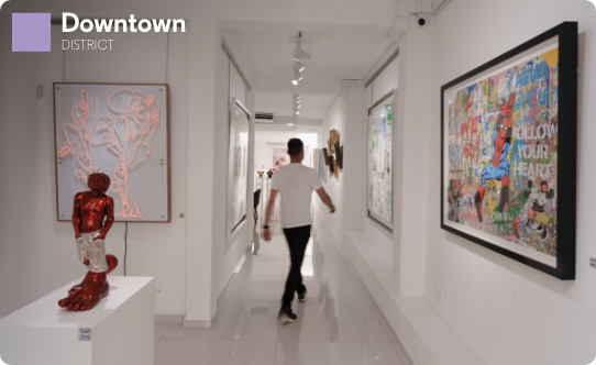 Miguel Bombarda’s  Art Galleries 