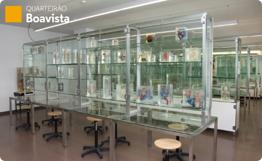 Museu de Anatomia - Universidade do Porto