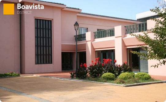 Engineer António de Almeida Foundation House Museum  