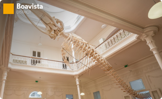 Biodiversity Gallery